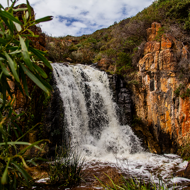 Quinninup Falls - Margaret River